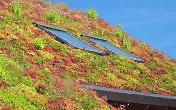 Southwold living roof systems
