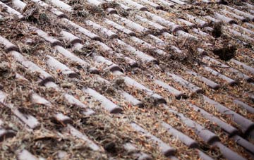 Southwold roof cleaning companies